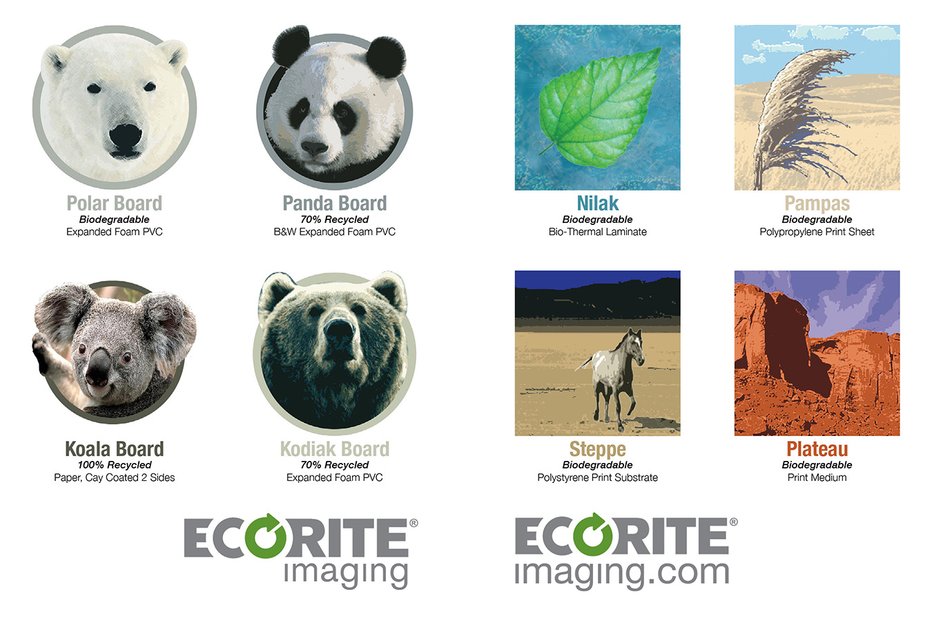Logo 7 : Ecorite Imaging Product Icons