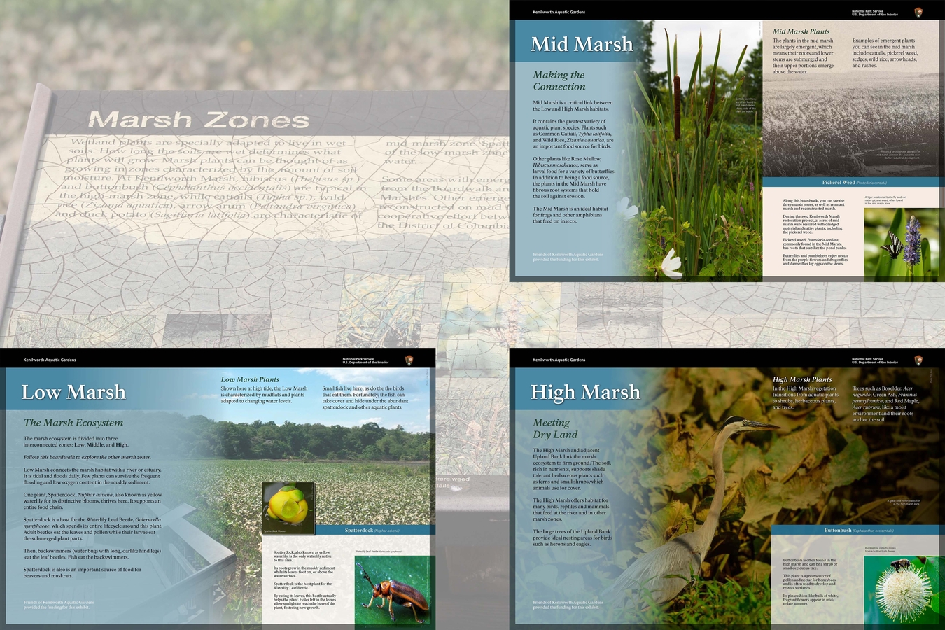 4 Marsh Zones : Wayside displays along the boardwalk replaced old weathered signs for the three distinct marsh zones.