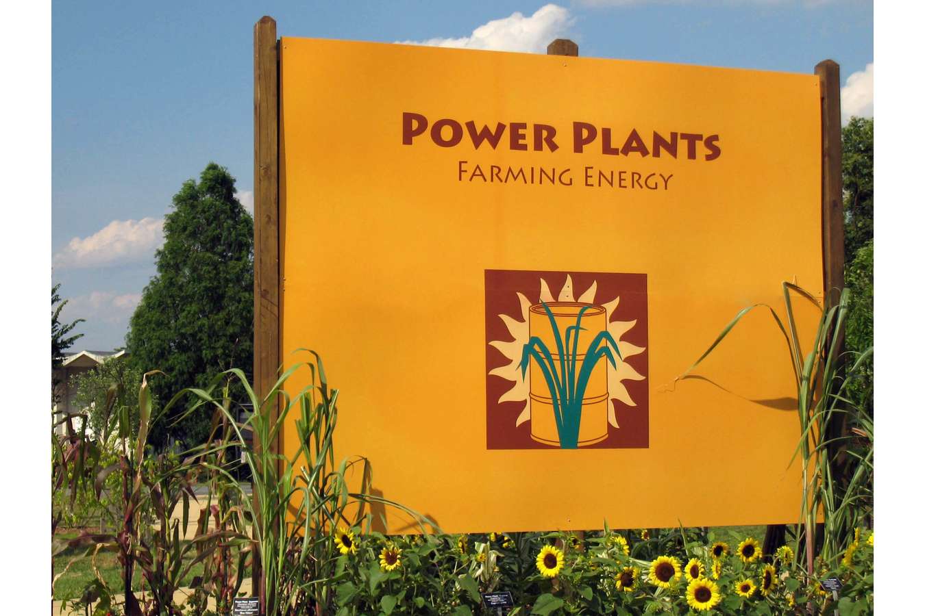 Display Graphics 17 : Triangular main entry to Power Plant display at National Arboretum each side different color
