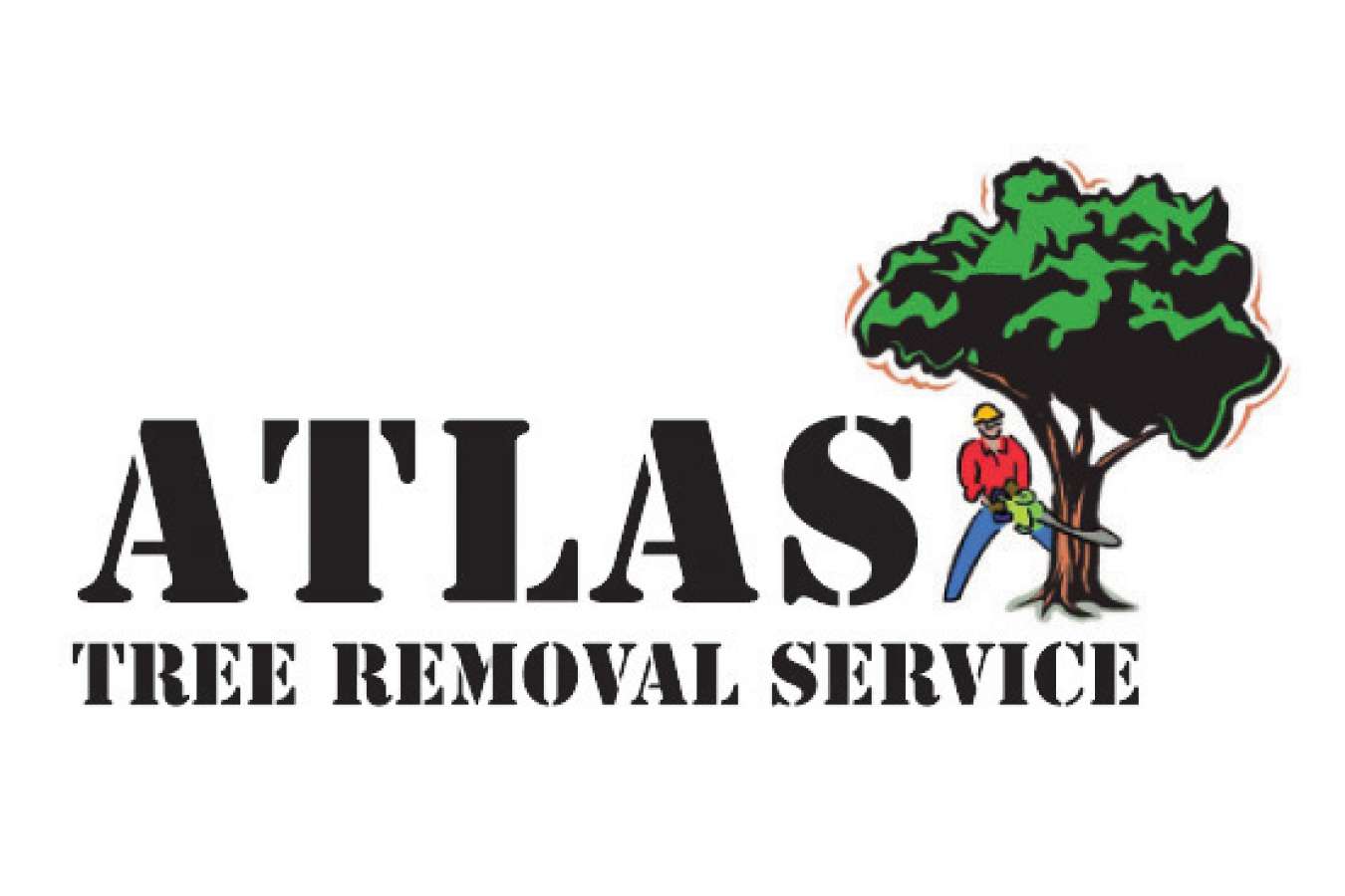 Logo 2 : Atlas services the Washington DC metro area