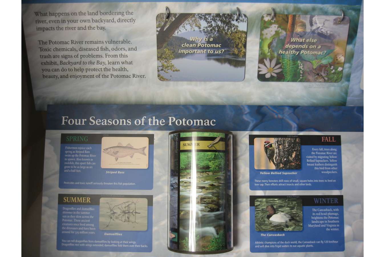 4 seasons : Four seasons of the Potomac is a cylinder poster showing beauty of the area through the year