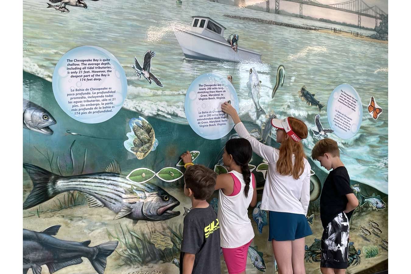 SPVC Kids Mural : The magnetized mural wall encourages interactive play and supports ranger-led programs about Bay ecology.