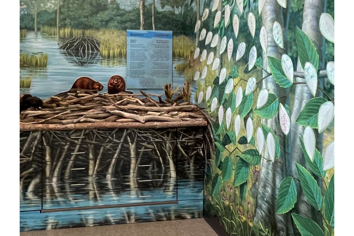 SPVC Beaver Leaves : Beaver Dam uses chewed wood found in the park. Discovery Drawers and side storage are below the branches. Staff questions on tree mural promote bay stewardship  |  "Leaves" are reusable commitment statements