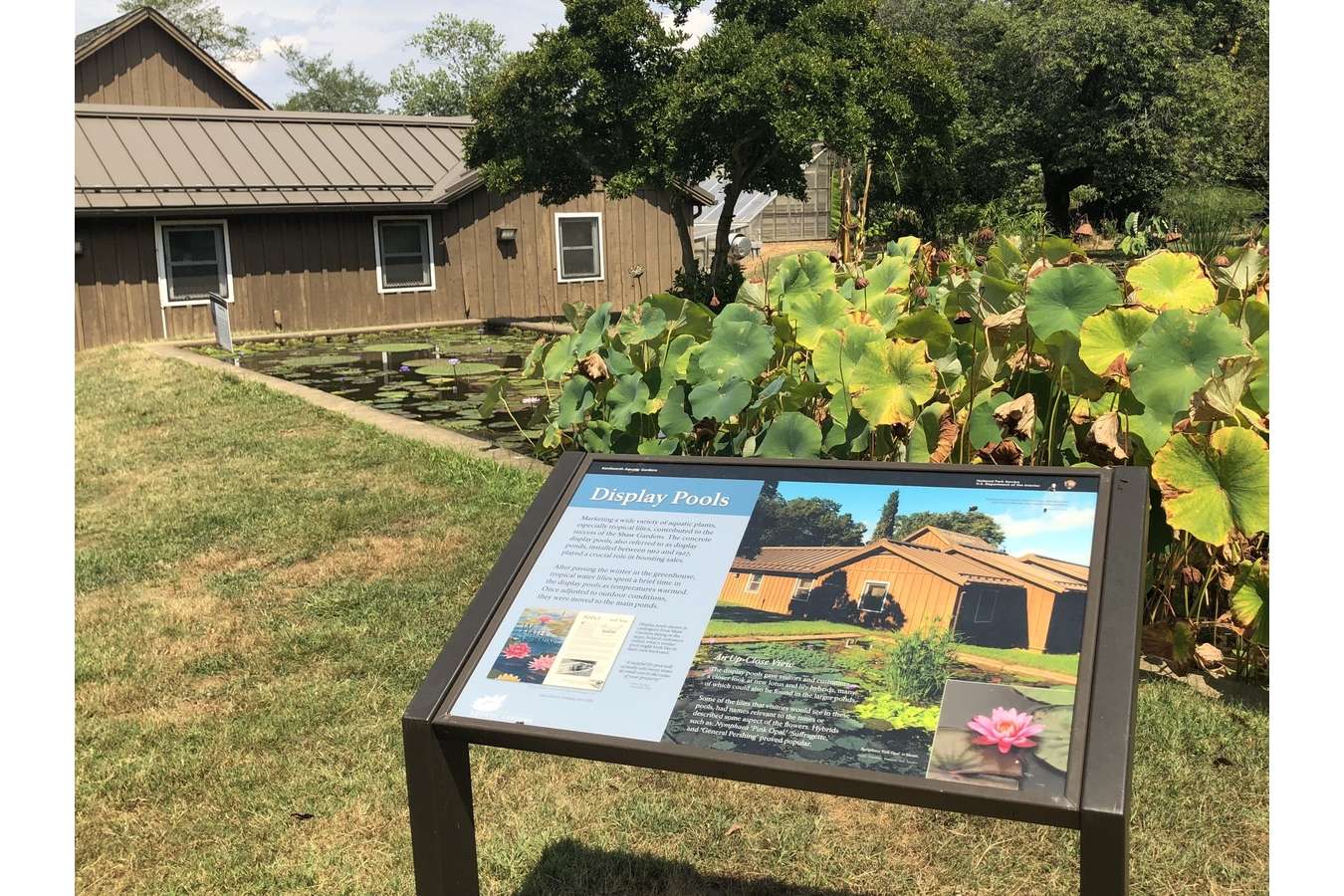 9 Display Pools : Sled frames allow interpretive displays to be moved around the gardens to suit blooming and site conditions.