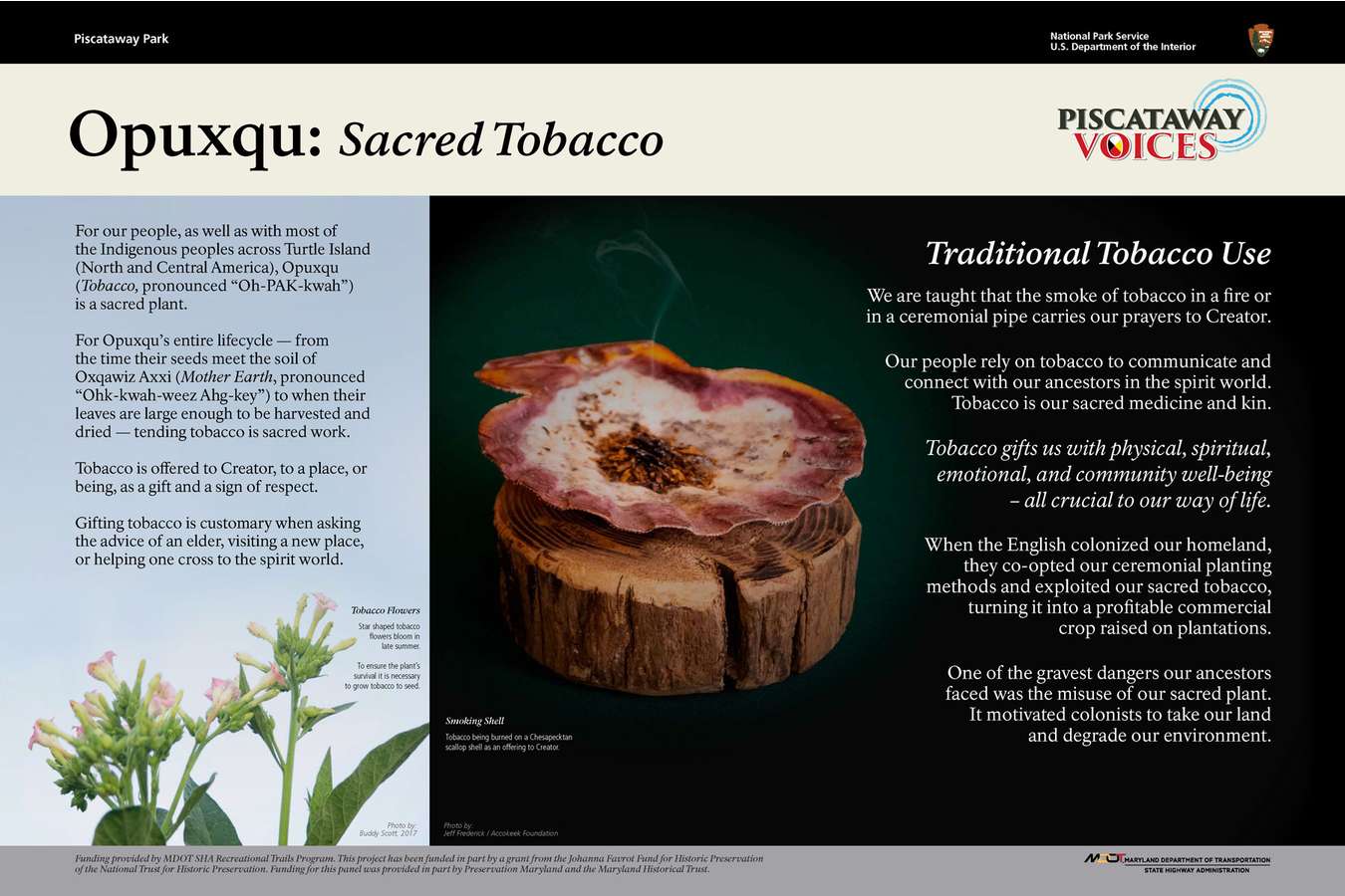 5 Tobacco : Sacred Tobacco is used as a gift and sign of respect among the Piscataway People.