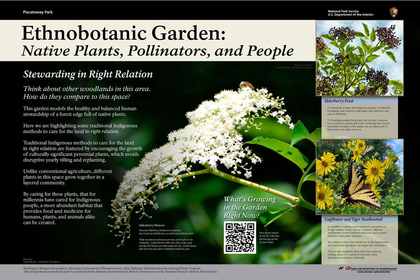 4 Garden : This garden in Piscataway Park cultivates native plants for traditional use.