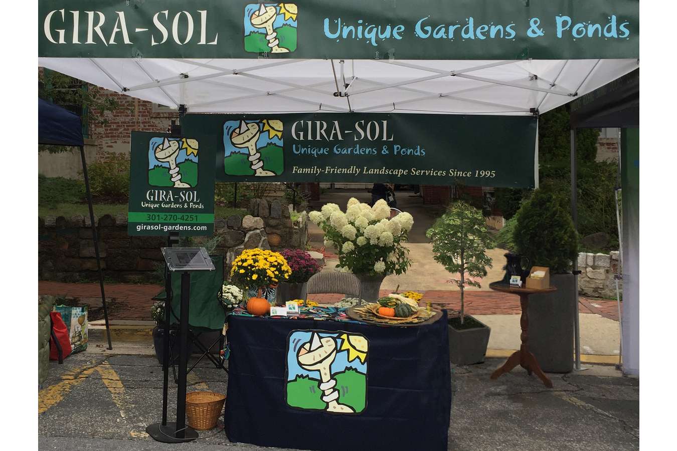 Girasol 2016 : Outdoor tent display at the Takoma Park Street Festival