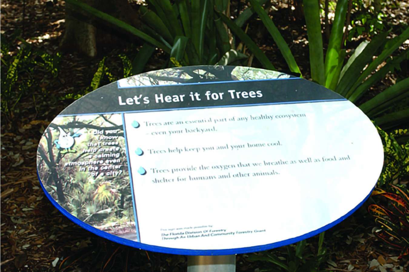 MDS OVAL : Oval Waysides in the Ecoscapes Garden of the Museum of Discovery and Science in Fort Lauderdale